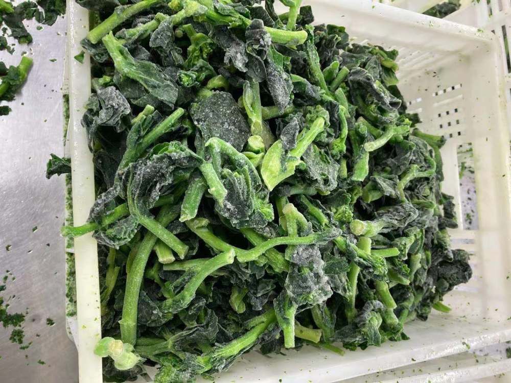 Mmexport1761714229238