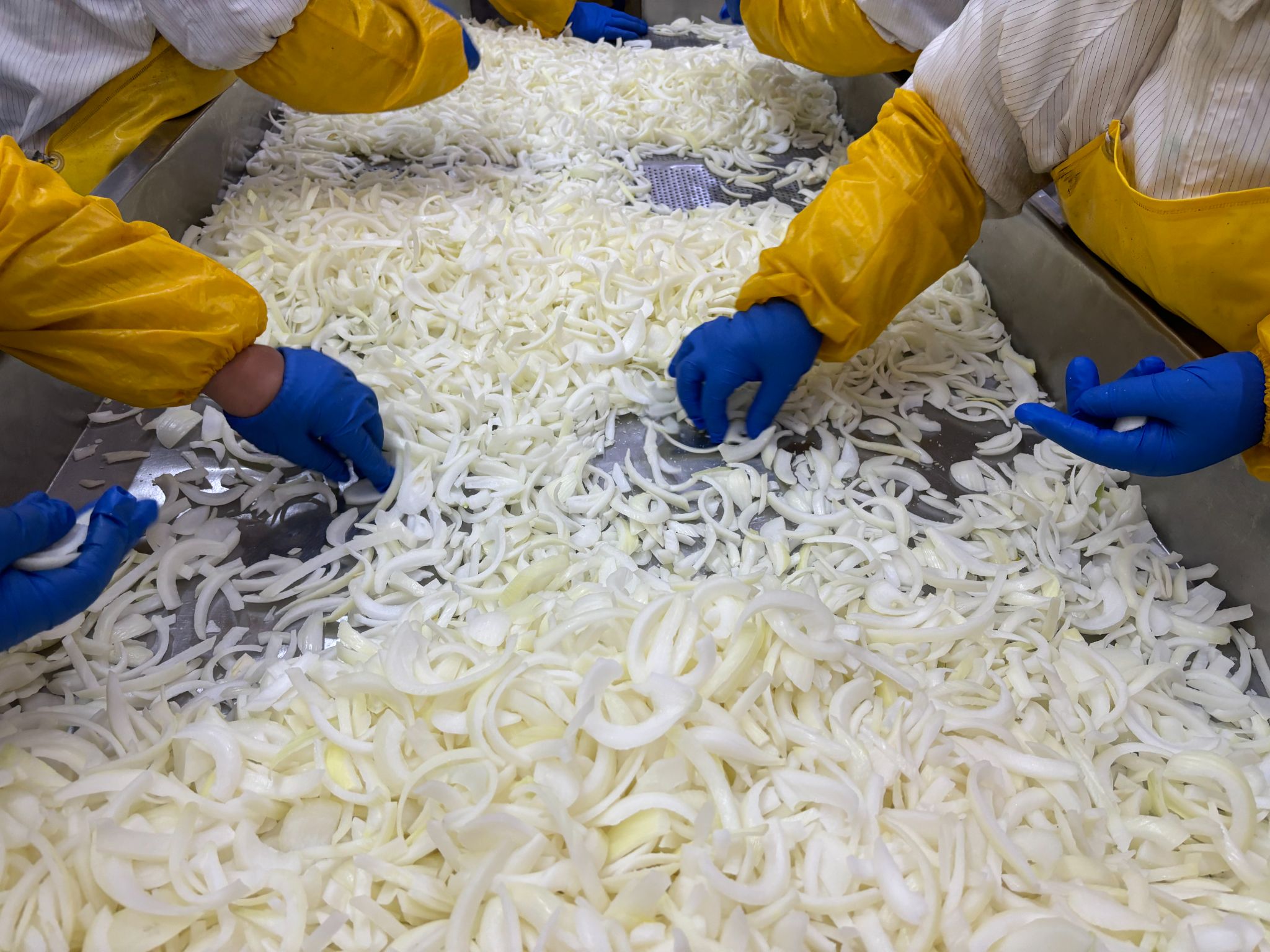 Mmexport1761714277903