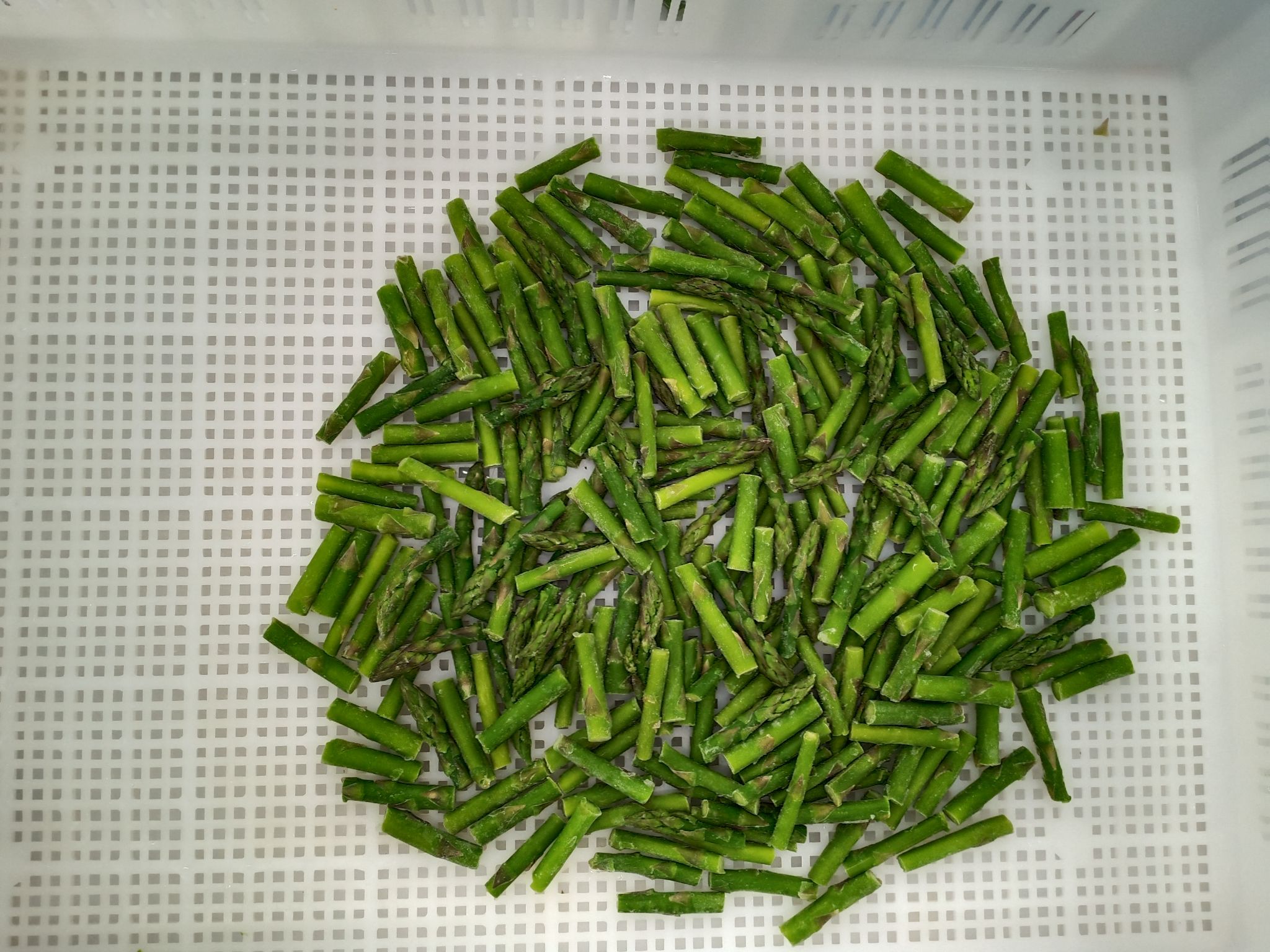 Mmexport1761714300795