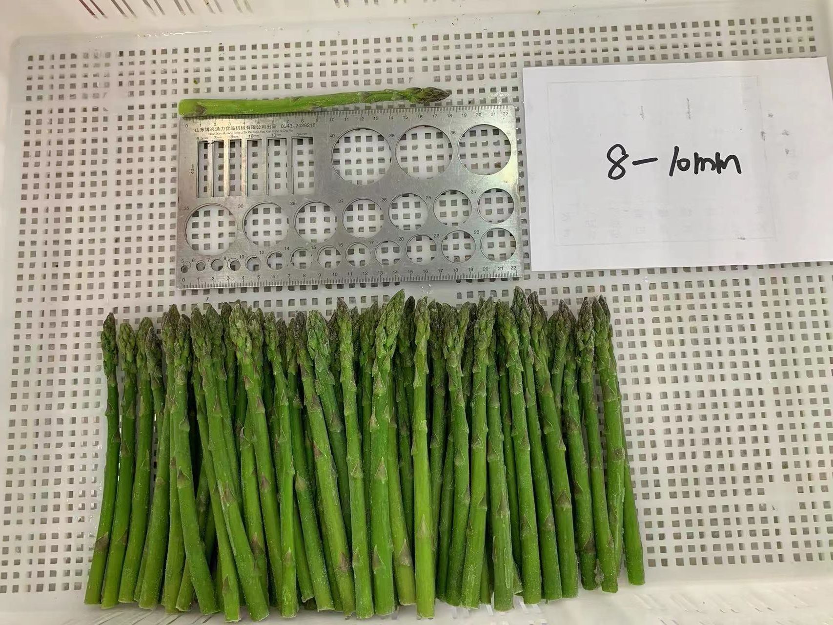 Mmexport1761714295402